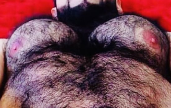 Macho Peludo Escort Masculino