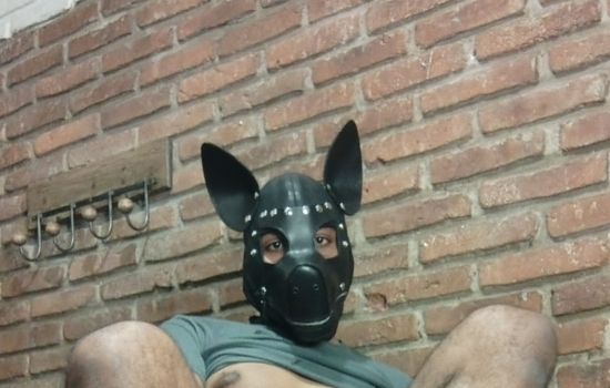 Pup Relax Escort Masculino