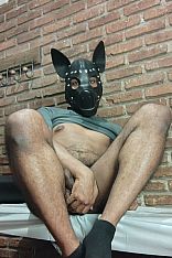 Pup Relax Escort Masculino